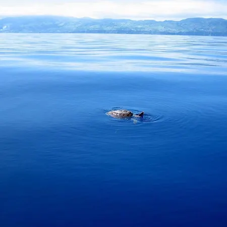 Casa Σπίτι διακοπών *