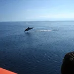 Сasa de vacaciones Casa *