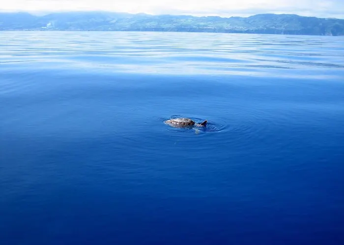 Casa Σπίτι διακοπών *